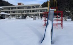 雪が積もりました